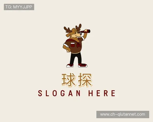 关于球探